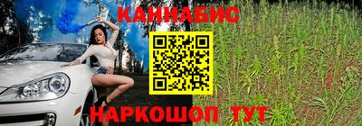 индика Гусь-Хрустальный