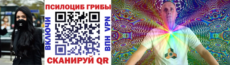 Галлюциногенные грибы Psilocybe  Нефтекамск 