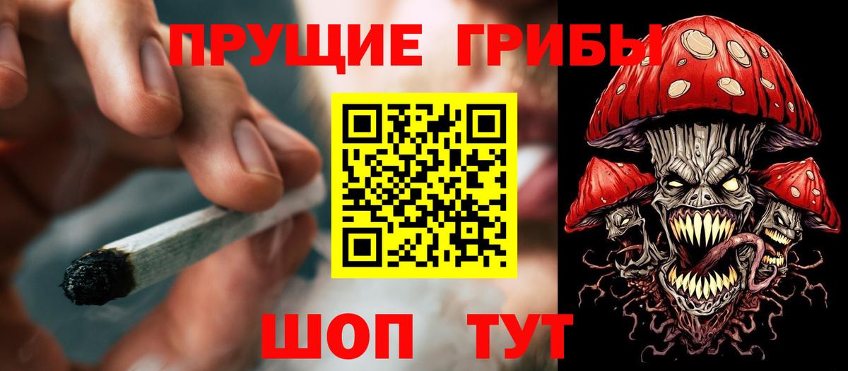 Псилоцибиновые грибы Cubensis Нефтекамск
