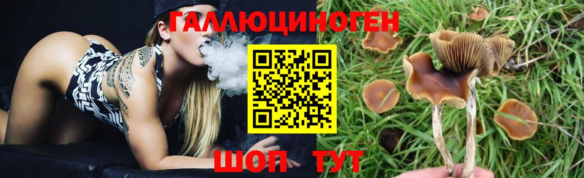 Галлюциногенные грибы Psilocybe  Вход с VPN  купить наркоту  Псилоцибиновые грибы MAGIC MUSHROOMS  Нефтекамск 